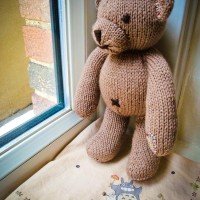 Baby's First Teddy Bear